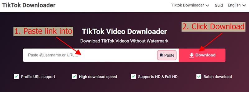 paste url into tiktokdownloader